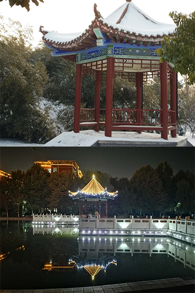 岁月流金 · 青春不散场
