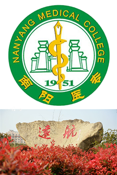 岁月流金 · 青春不散场