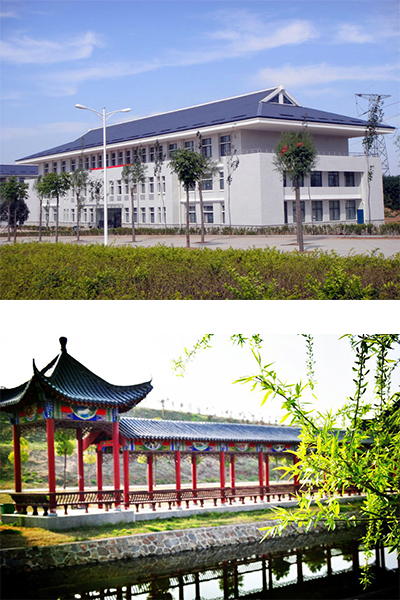 岁月流金 · 青春不散场