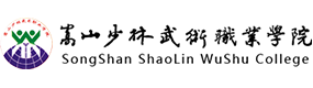 嵩山少林武术职业学院-中国最美大學