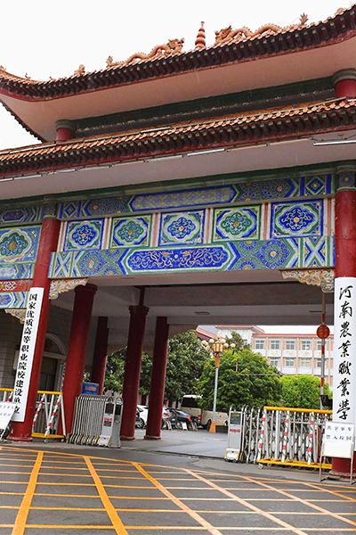 岁月流金 · 青春不散场
