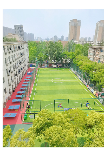 岁月流金 · 青春不散场