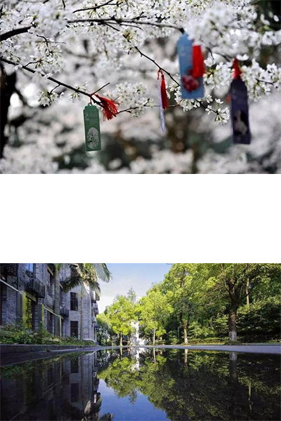 岁月流金 · 青春不散场