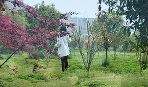 「 大學志 · 志中國 」