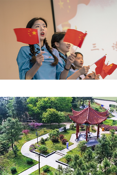 岁月流金 · 青春不散场
