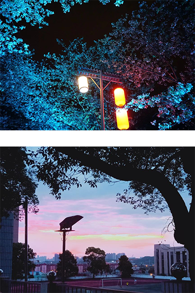 岁月流金 · 青春不散场