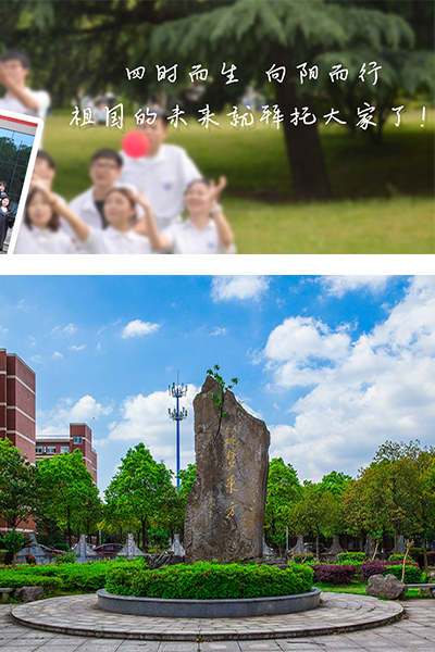 岁月流金 · 青春不散场