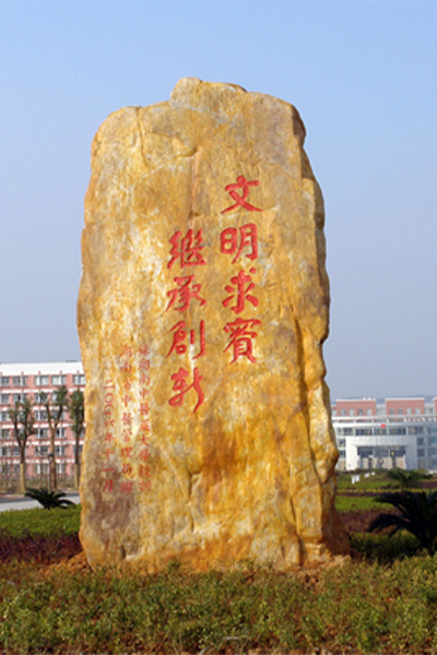 岁月流金 · 青春不散场
