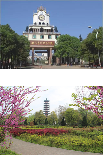 岁月流金 · 青春不散场