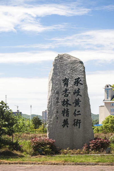 岁月流金 · 青春不散场