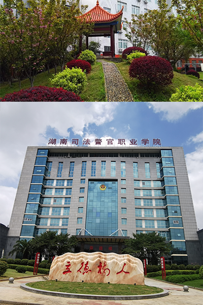 岁月流金 · 青春不散场