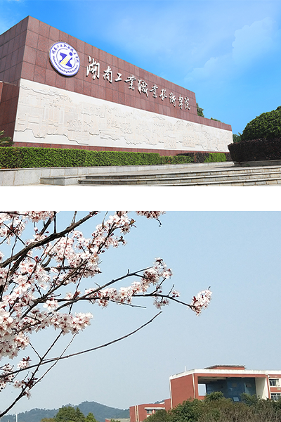 岁月流金 · 青春不散场