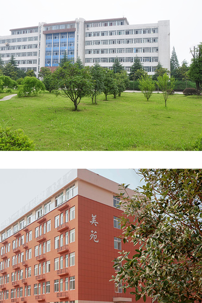 岁月流金 · 青春不散场
