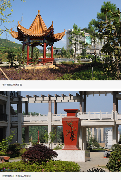 岁月流金 · 青春不散场