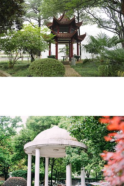 岁月流金 · 青春不散场
