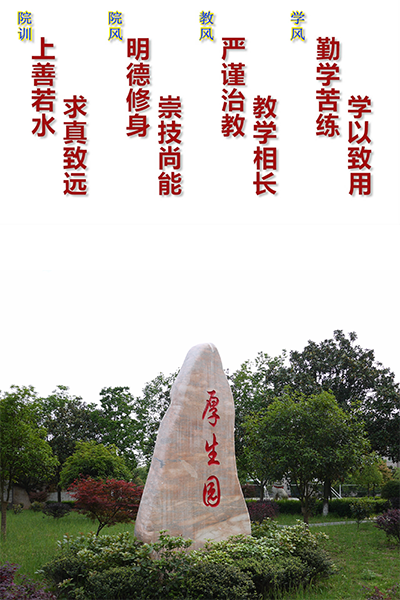 岁月流金 · 青春不散场