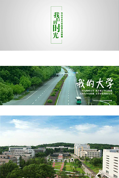 岁月流金 · 青春不散场