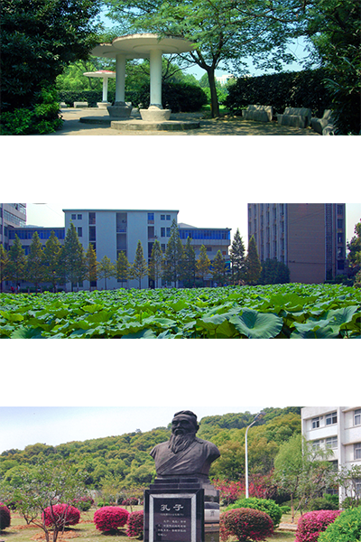 岁月流金 · 青春不散场