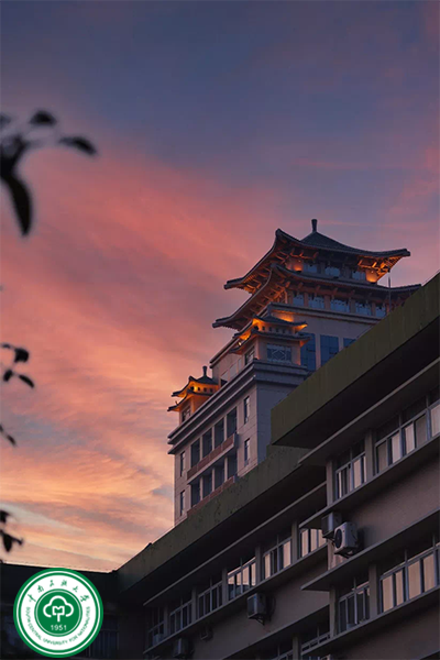 岁月流金 · 青春不散场