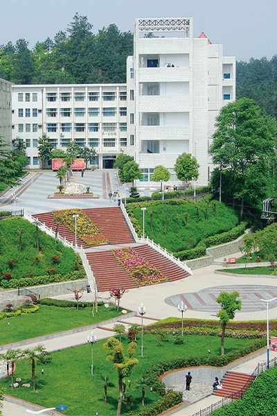 岁月流金 · 青春不散场