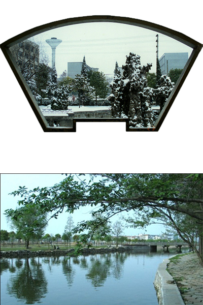 岁月流金 · 青春不散场