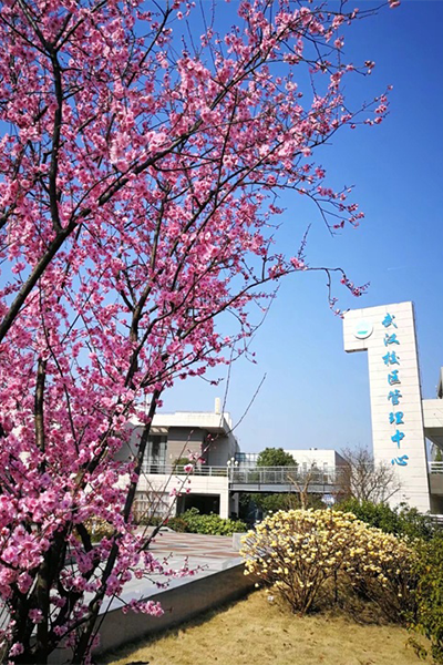 岁月流金 · 青春不散场