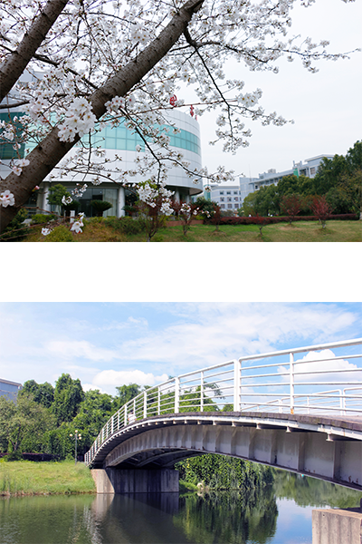 岁月流金 · 青春不散场