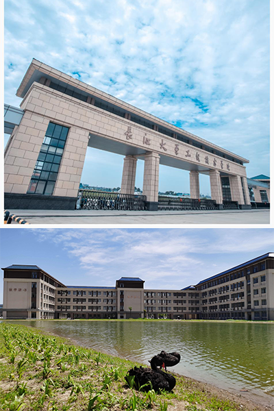 岁月流金 · 青春不散场