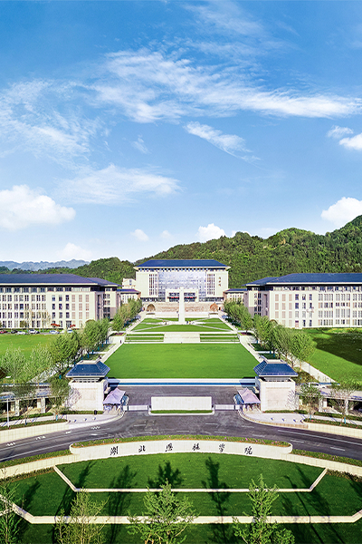 岁月流金 · 青春不散场