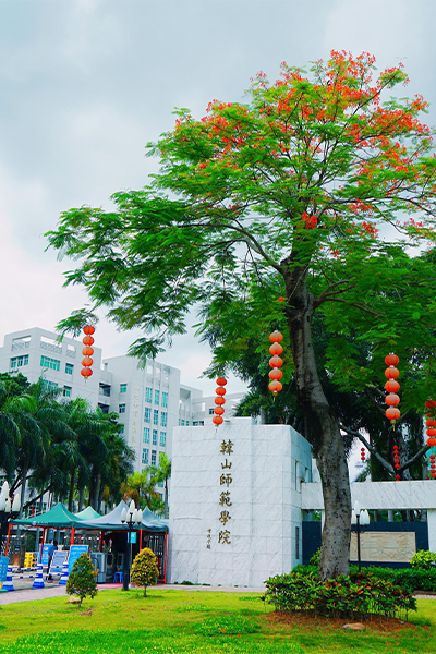 岁月流金 · 青春不散场