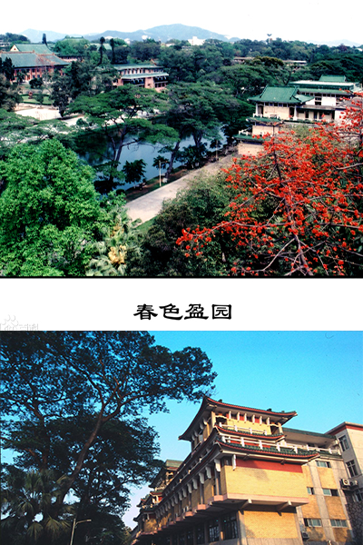 岁月流金 · 青春不散场