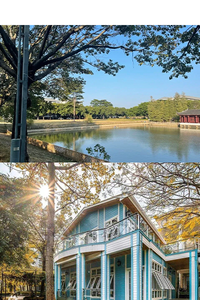 岁月流金 · 青春不散场