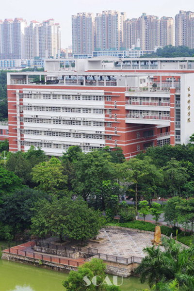 岁月流金 · 青春不散场
