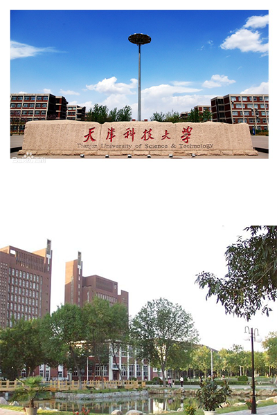 岁月流金 · 青春不散场