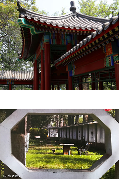 岁月流金 · 青春不散场