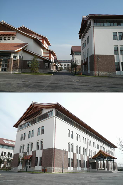岁月流金 · 青春不散场