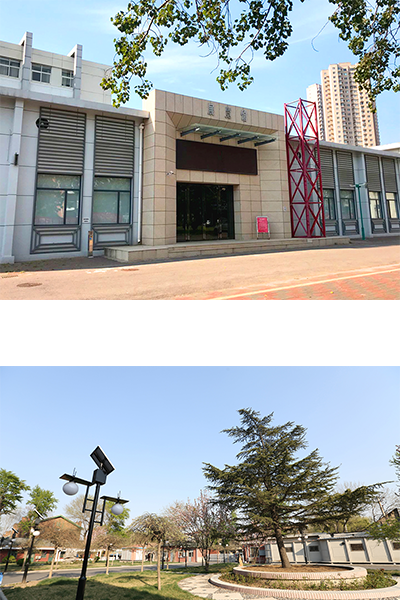 岁月流金 · 青春不散场