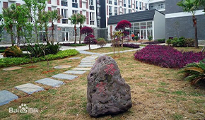 「 大學志 · 志中國 」