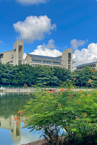 岁月流金 · 青春不散场
