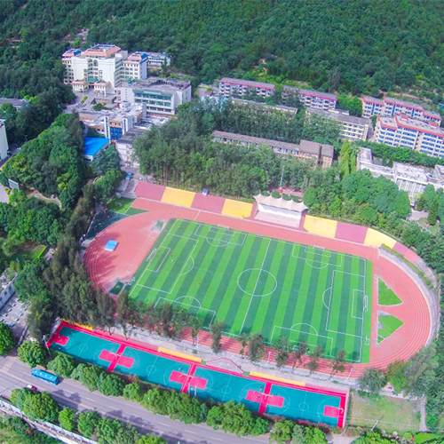 最美大學