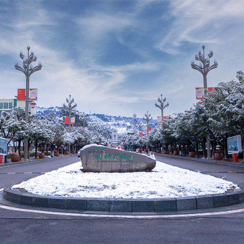 新生入学
