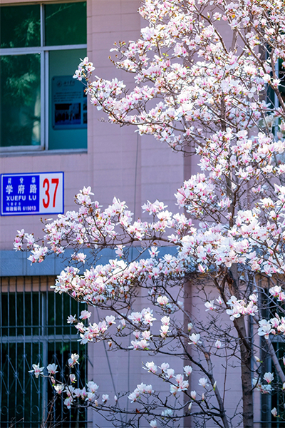 岁月流金 · 青春不散场