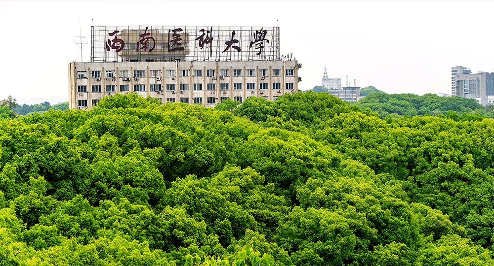 西南医科大学：校名题写 / 校徽设计