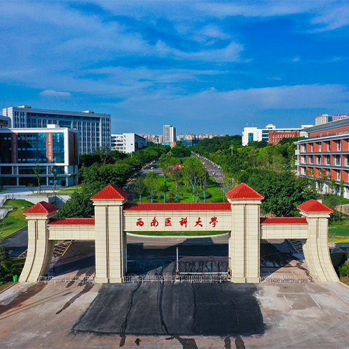 最美大學