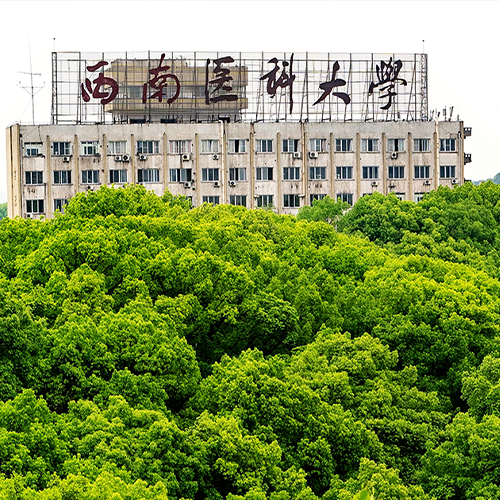 校园资讯