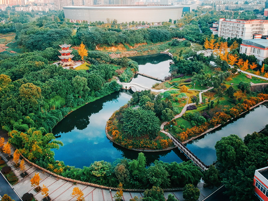 西南医科大学 我的大學