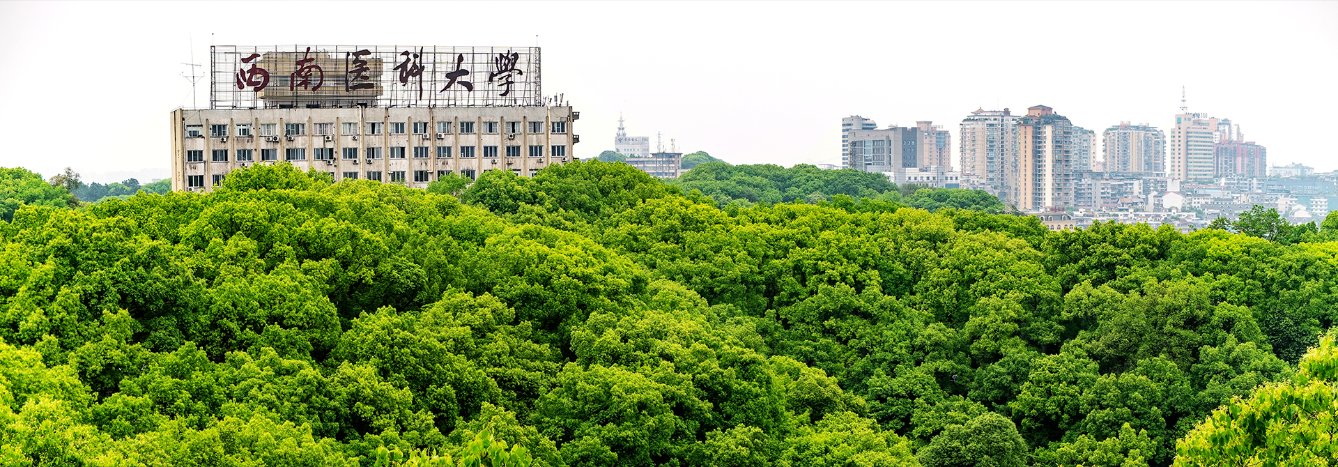 西南医科大学-校园风景