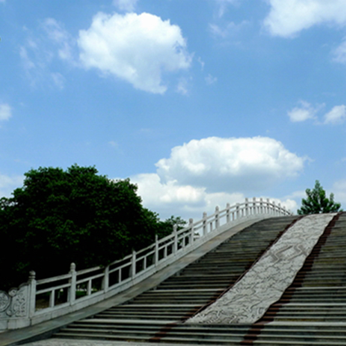 最美大學