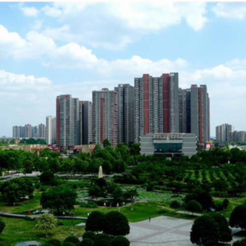 我的大學