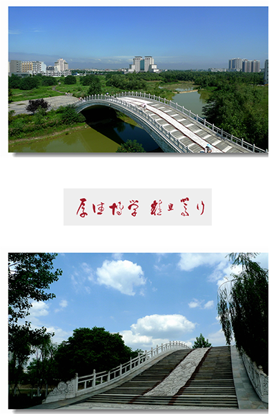 岁月流金 · 青春不散场